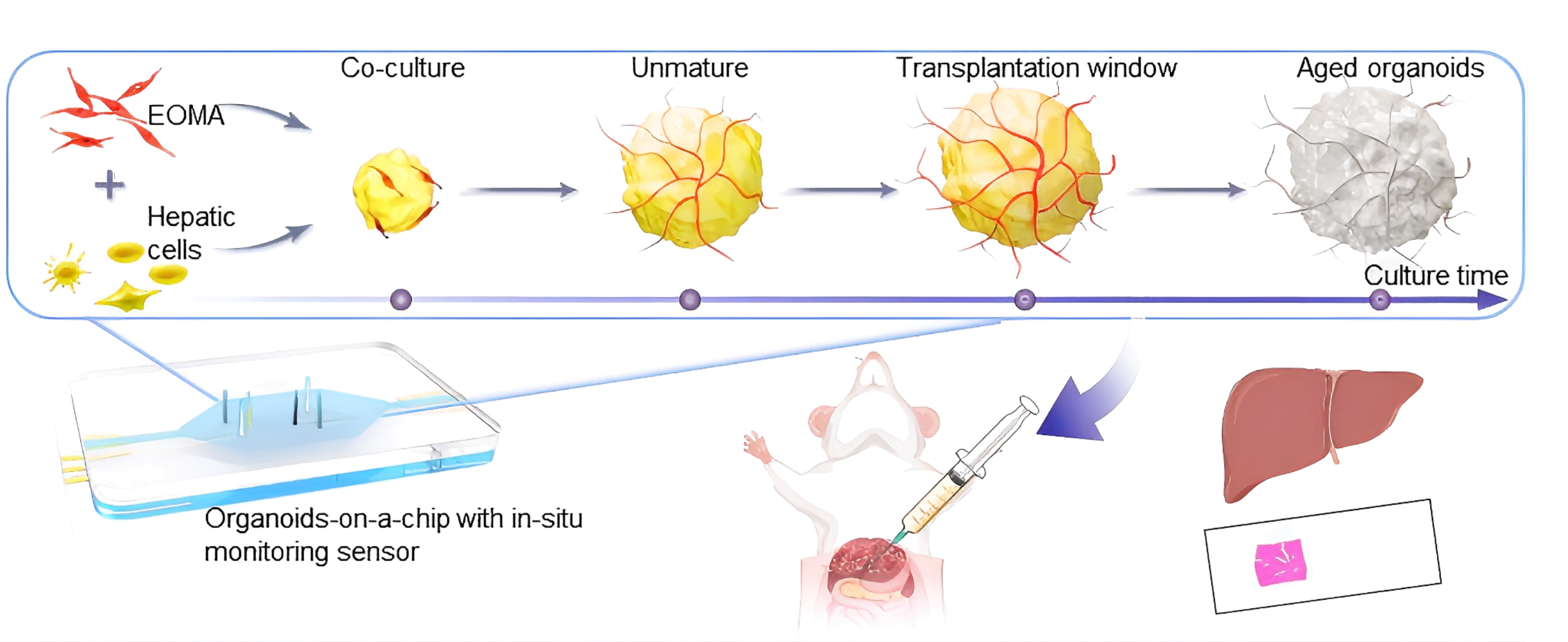 1760526057955640 (1).png