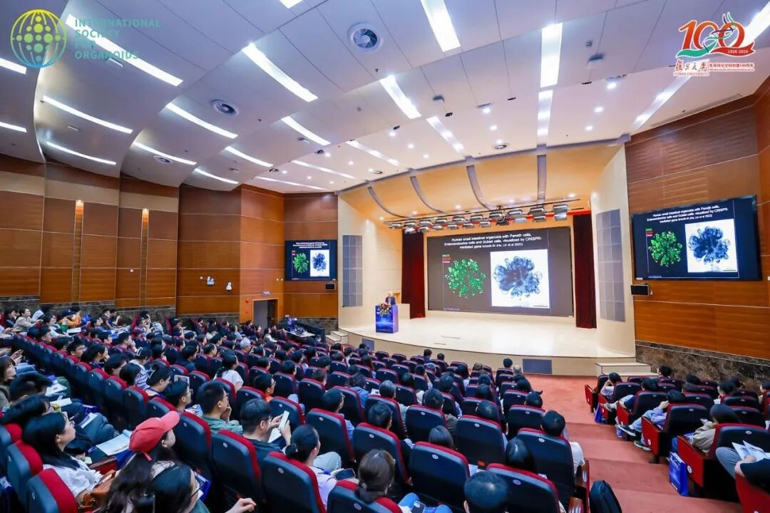 共赴科学盛宴，破界赋能未来！迪亚生物2026第二届国际类器官大会圆满落幕